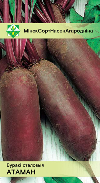 Свекла Атаман столовая 2г, Германия