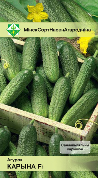 Огурец Коринна F1 10шт