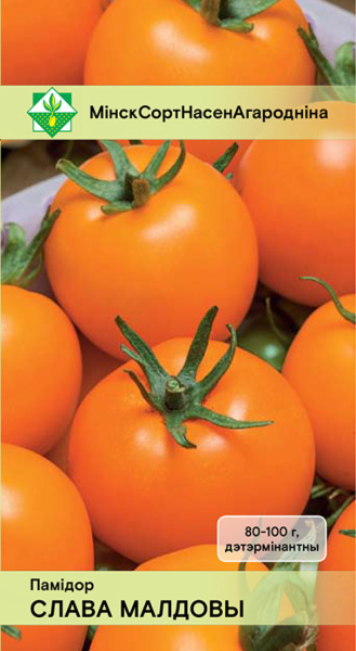 Помидоры Слава Молдовы 15шт.