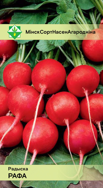 Редис Рафа 2г