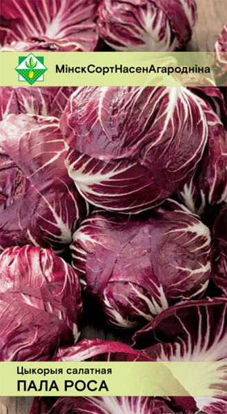Цикорий салатный Палла Росса 3 (Sativa) 1г