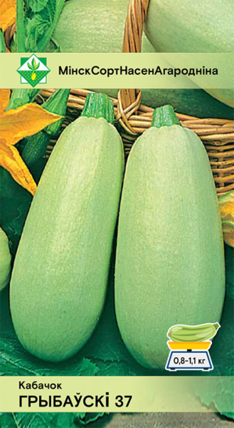 Кабачок Грибовские 37 2гр.