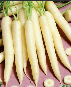 Морковь Уайт Сатин F1 столовая 1,6-1,8 0,3г