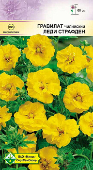 Гравилат чилийский Леди Страфден 0,1г