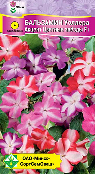 Бальзамин Уоллера Акцент Цветные звезды F1 7 шт