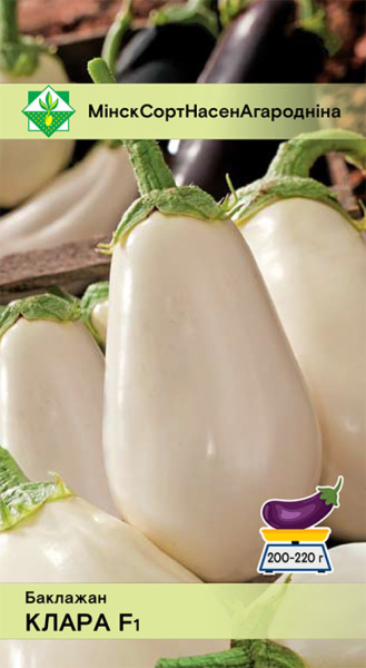 Баклажан Клара F1 0,1г., Польша