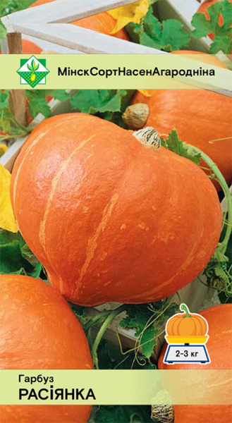 Тыква Россиянка 10шт.