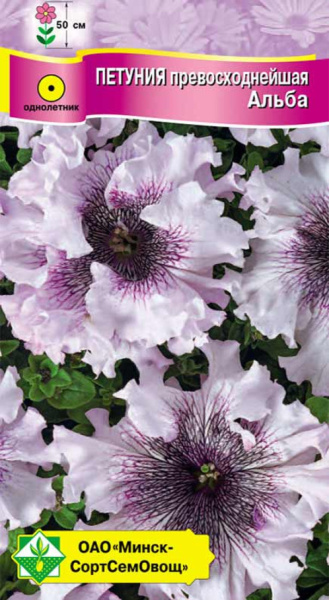 Петуния гибр превосходнейшая Альба