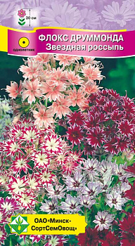 Флокс Друммонда Звездная россыпь см 0.3г