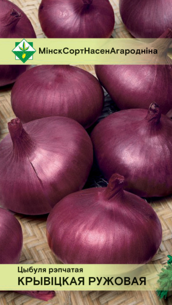 Лук Крывицки ружовы* 0,5г (семена)