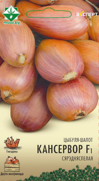 Лук-шалот Консерватор F1 40 шт Эксперт