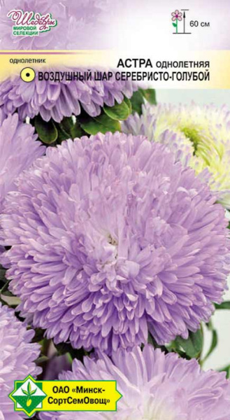 Астра Воздушный шар Серебристо-голубой 0,1г.
