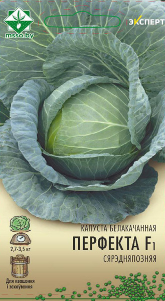 Капуста б/к Перфекта F1 12шт (Эксперт)