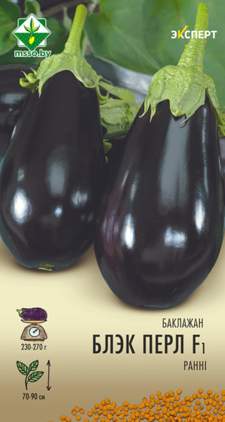 Баклажан Блэк перл F1 5 шт (Эксперт)