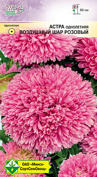 Астра Воздушный шар Розовый 0,1г.