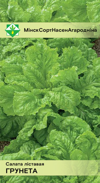 Салат Грюнетта листовой 1 г