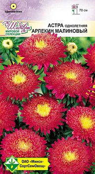Астра Арлекин Малиновый 0,2 г