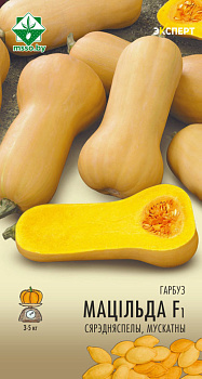 Тыква Матильда F1 мускатная 5 шт (Эксперт)
