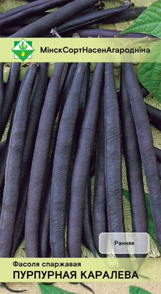Фасоль Пурпурная королева спаржевая 7 г