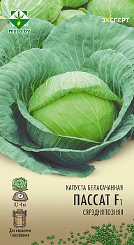 Капуста Пассат F1 б/к 12шт (Эксперт)