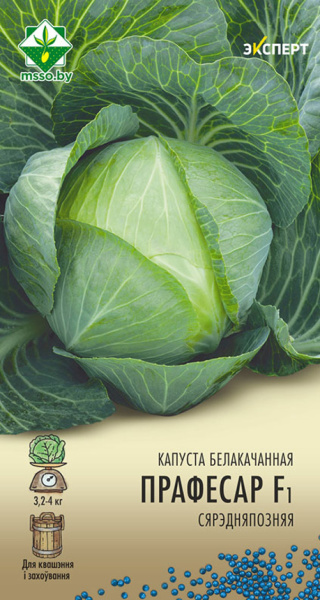 Капуста б/к Профессор F1 12 шт(Эксперт)