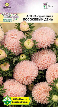Астра Прекрасный день Лососевый день 0,1г