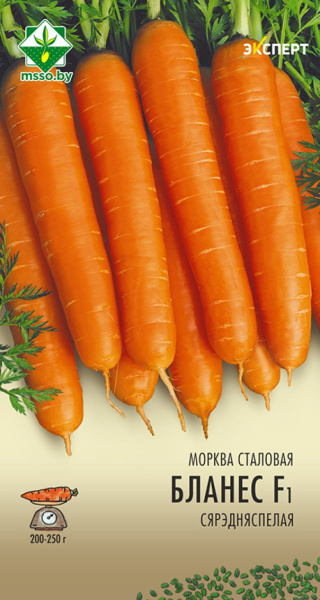 Морковь Бланес F1 столовая 0.3г (Эксперт)