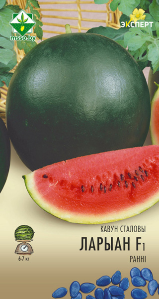 Арбуз Лориан F1 6шт