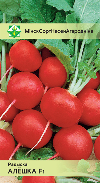 Редис Алешка F1 2г, Германия
